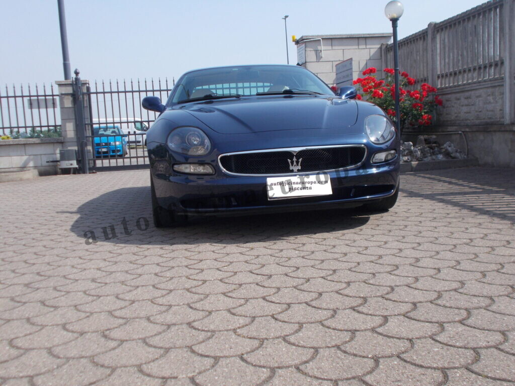 DSCN6146