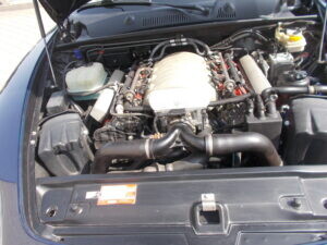 DSCN6157