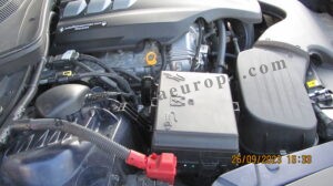 IMG_3463 - Copia